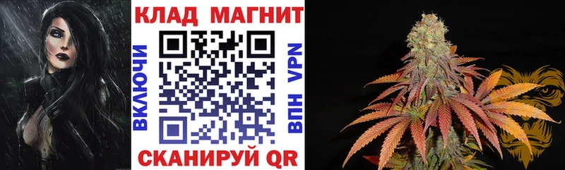 Виды наркоты Нижний Новгород Бошки Шишки Alpha-PVP ГАШ Галлюциногенные грибы КОКАИН МЕФ