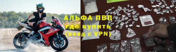 СК Арсеньев