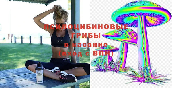 СК Арсеньев