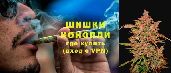СК Арсеньев