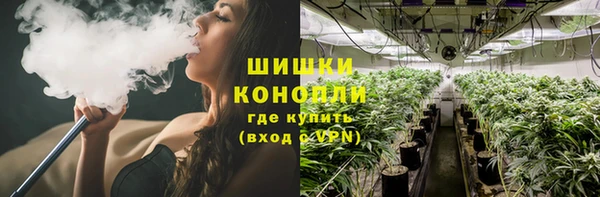 СК Арсеньев