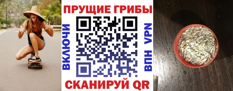 закладки  площадка какой сайт  Галлюциногенные грибы Psilocybe  Нижний Новгород 