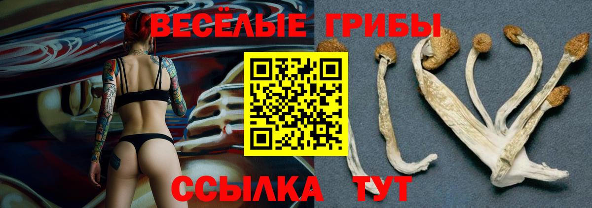 Нижний Новгород  Псилоцибиновые грибы ЛСД  Вход с VPN 