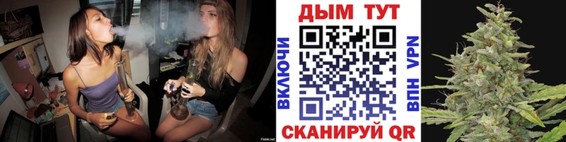 Конопля Bruce Banner  Нижний Новгород 